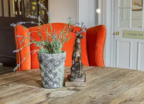 Lansdown Grove Hotel - Recepción