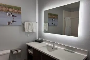 La Quinta by Wyndham Alamo-McAllen East - Badrum