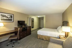 Holiday Inn Lethbridge by IHG - Chambre