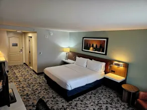 Hilton Garden Inn Dallas Lewisville - Rum