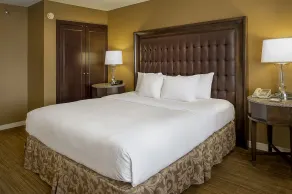 Hilton St. Louis Airport - Chambre