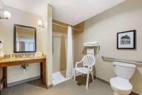 Comfort Suites East Lincoln - Mall Area - Salle de bain