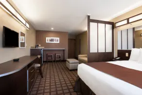 Microtel Inn & Suites Pleasanton - Room