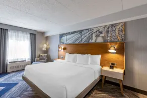 Comfort Inn Sarnia - Chambre
