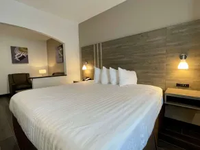 Best Western Roanoke Inn & Suites - Room