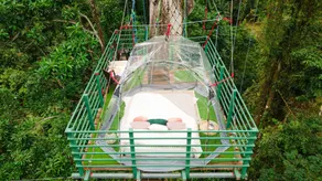 Green Jungle House - Room