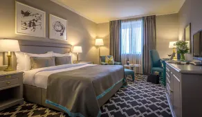 Castletroy Park Hotel - Habitación