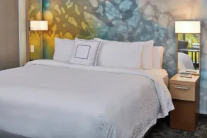 Courtyard by Marriott Albany Airport - Chambre