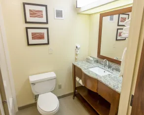 Comfort Inn Hammond - Salle de bain