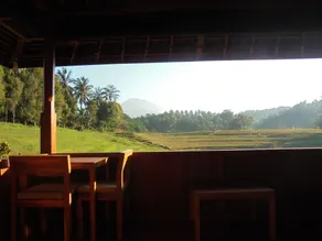 Clove Tree Hill - View from room
