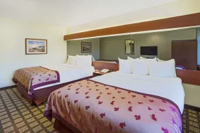 Microtel Inn & Suites by Wyndham Holland - Chambre