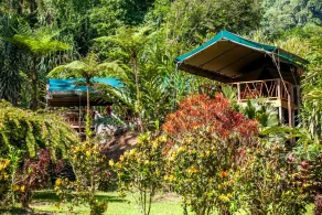 Rafiki Safari Lodge - Værelse