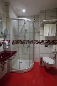 Hôtel Restaurant Centrotel - Salle de bain