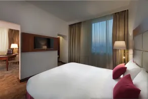 Steigenberger Hotel El Tahrir Cairo - Habitación
