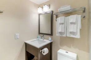 Quality Inn Centre-Ville - Salle de bain