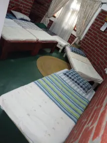 Themi Valley Eco  Tourism Homestay - Room