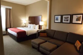 Comfort Suites Hattiesburg near University - Chambre