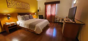 Dexter Hotel - Volta Redonda by Castelo Itaipava - Værelse