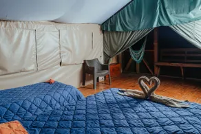 Tami Lodge - Chambre