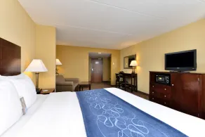 Comfort Suites Near Gettysburg Battlefield Visitor Center - Chambre