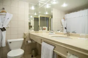 Park Plaza Santiago - Bathroom