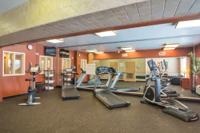 Holiday Inn Express Frackville Hotel By IHG - Fitness facility