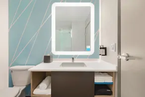 avid hotels - Byron - Warner Robins by IHG - Salle de bain