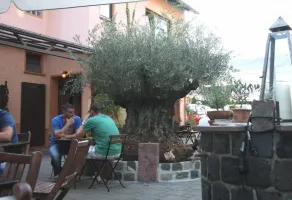 Hotel Gasthof Grüner Wald - Restaurant