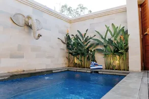 Bali Made Escape - Pool