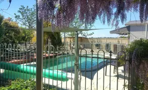 Must Love Dogs B&B & Self Contained Cottage - Pool