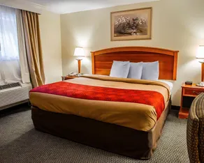 Econo Lodge Jefferson Hills Hwy 51 - Chambre