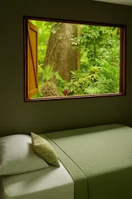 Green Jungle House - View from room