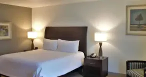 Hilton Garden Inn Warner Robins - Chambre