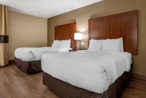 Comfort Inn Birmingham Homewood - Chambre