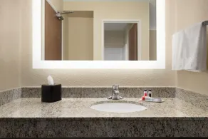 Baymont by Wyndham Mt. Pleasant - Salle de bain