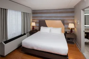 Hotel Trilogy Albany Airport, Tapestry Collection by Hilton - Chambre