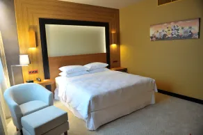 Four Points by Sheraton Kecskemet Hotel and Conference Center - Room