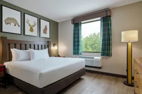 Great Wolf Lodge Perryville - Chambre
