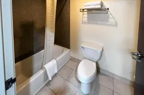 Executive Inn & Suites Breaux Bridge, LA - Banheiro