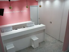 Akihabara Bay Hotel (Female Only) - Réception