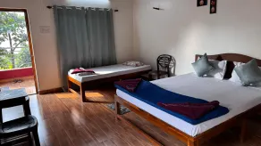 The Alphonso Mango County - Habitación
