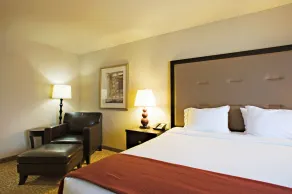 Holiday Inn Express & Suites Wichita Falls by IHG - Chambre