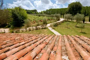 Croce di Bibbiano Apartaments with Pool in front of San Gimignano - Værelse