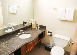 Budget Inn Phoenix - Bathroom