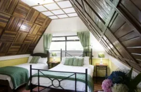 Hortensias Chalets Vara blanca - Habitación