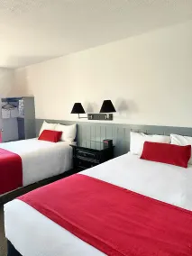 Baja Motel - Rum