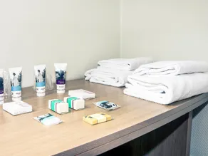 Mercure Vienne Sud Chanas - Camera