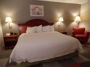 Hampton Inn Bowling Green - Værelse