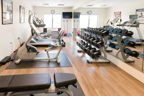 Holiday Inn Express & Suites Lexington North West-The Vineyard by IHG - Salle de remise en forme
