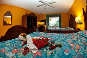 Hotel Palma Real - Room